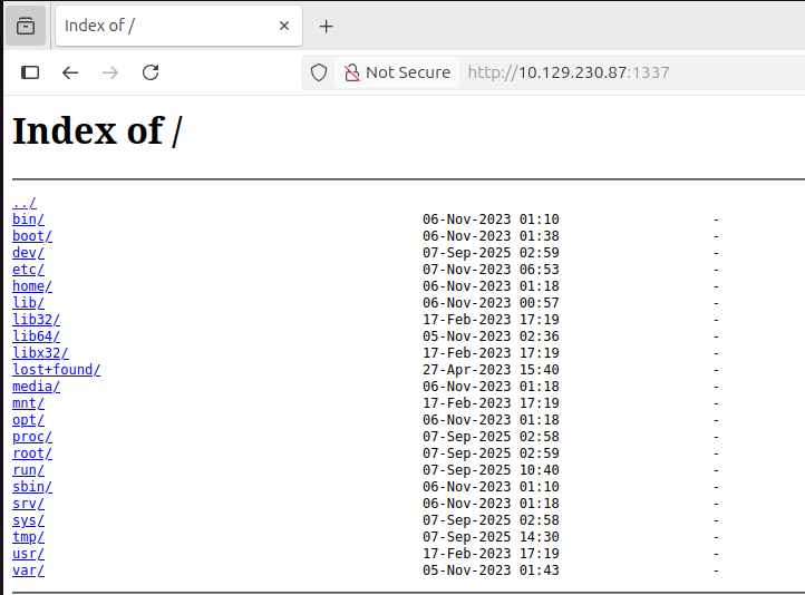 The malicious nginx server lists the filesystem as root