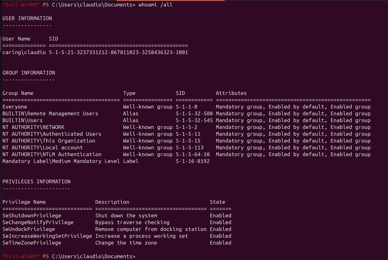 evil-winrm session established as claudio