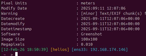 Downloading all assets from the randomfacts bucket