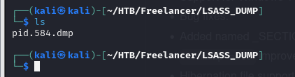 lsass dump saved to disk