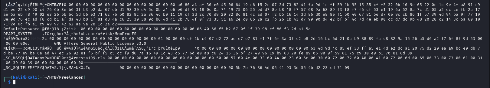 Raw output from the memory credential dump