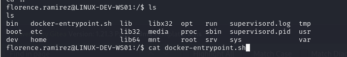 BloodHound data collection from the container