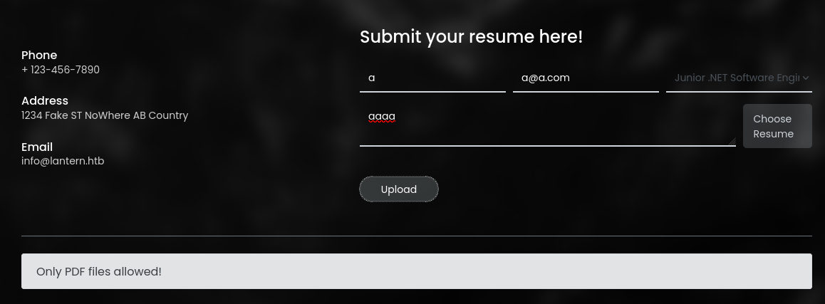 Upload form accepts resume files on /vacancies