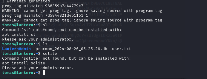 Binary inspection — checking for exploitable behavior