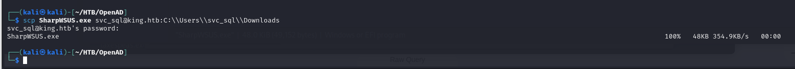 Reviewing the update target and payload path