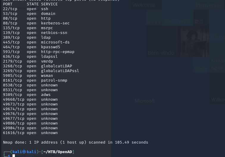 Dirbust result showing only aspnet_client