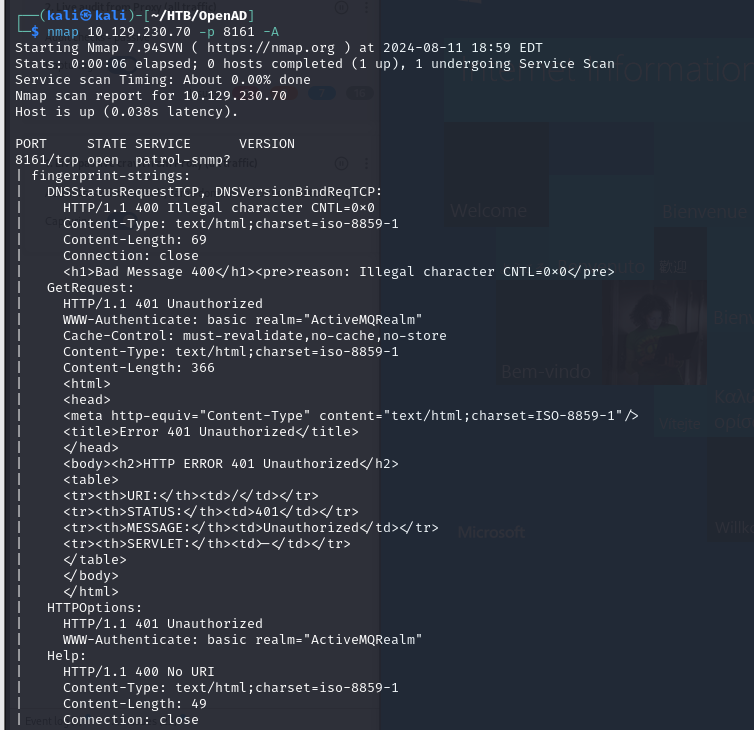 Port 8161 scan showing Apache ActiveMQ