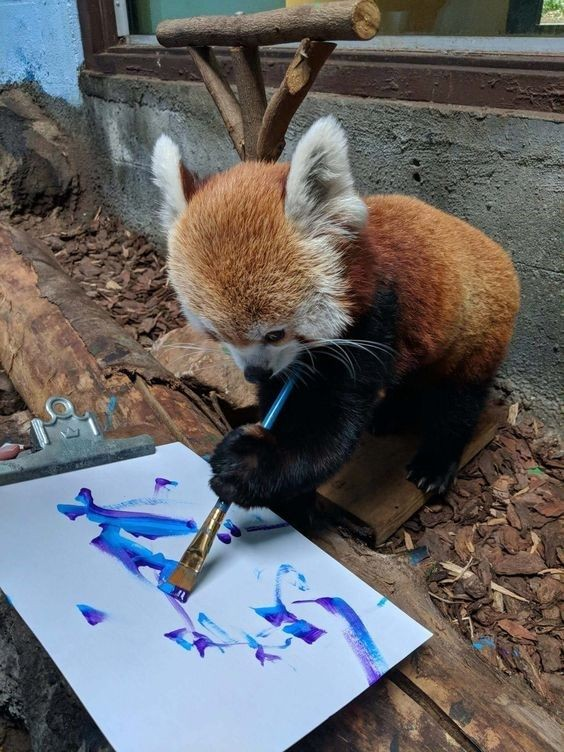 The crafty.jpg panda image before metadata modification