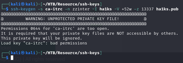 chmod 600 applied to the generated private key