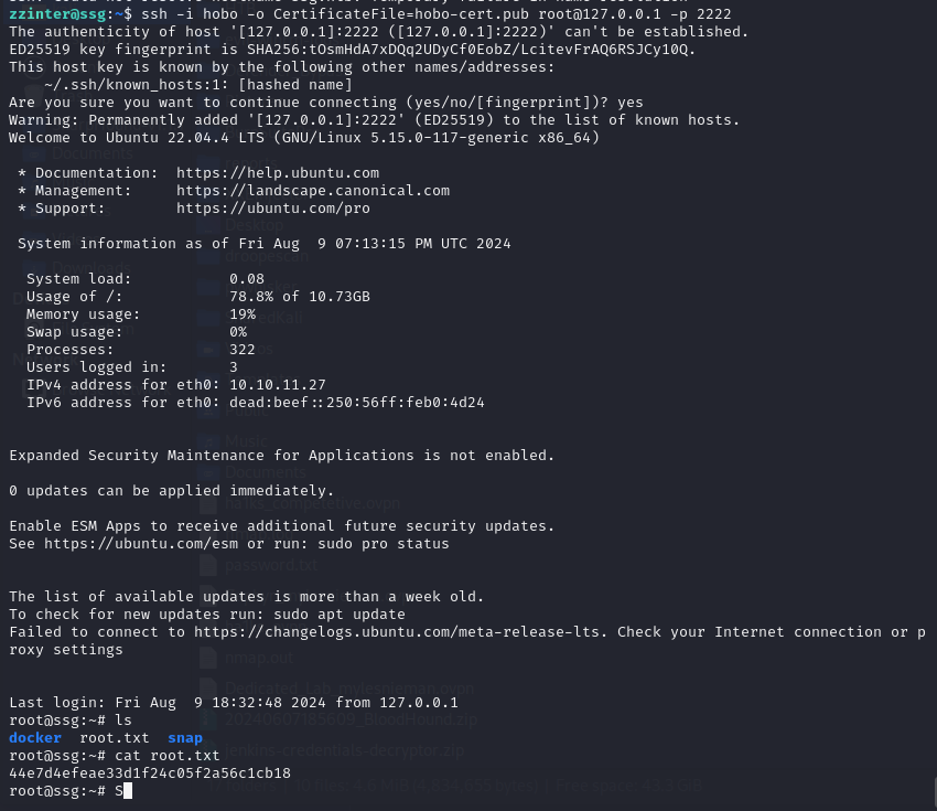 Root flag or final confirmation