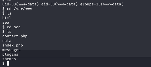 Triggering the uploaded webshell to get a persistent shell