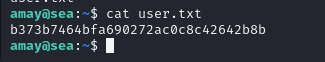 Cracked hash and successful SSH login as the user