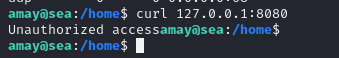 Internal service listening on localhost:8000