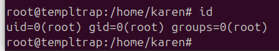 Root shell obtained after the screen CVE-2025-23395 exploit