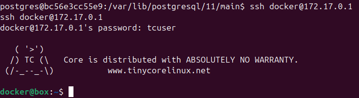 SSH to 172.17.0.1 with docker:tcuser succeeds
